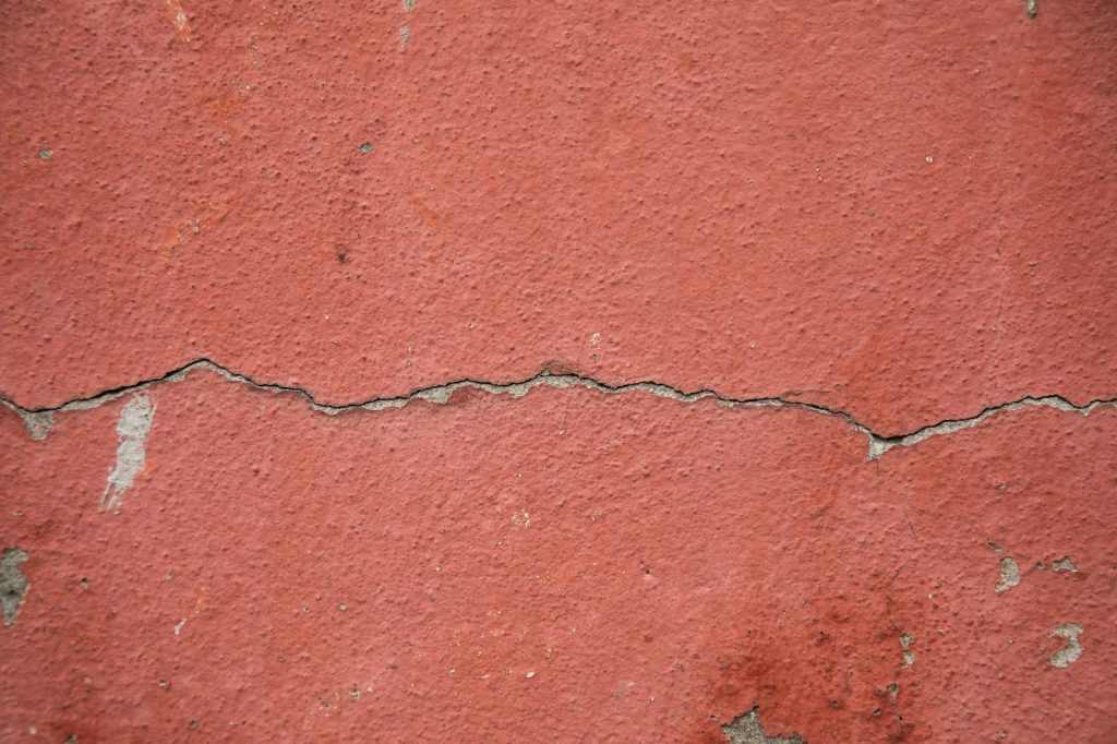 Pexels photo 4040621